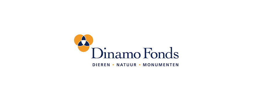 Dinamo Fonds welzijn schaapskudde